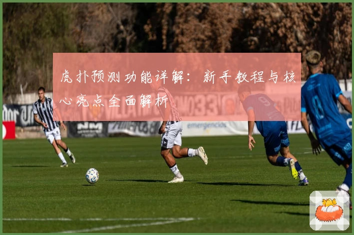 虎扑预测功能详解：新手教程与核心亮点全面解析