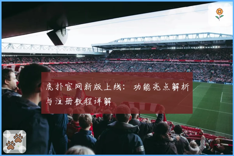 虎扑官网新版上线：功能亮点解析与注册教程详解
