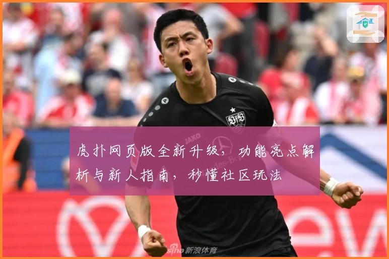 虎扑网页版全新升级,功能亮点解析与新人指南,秒懂社区玩法